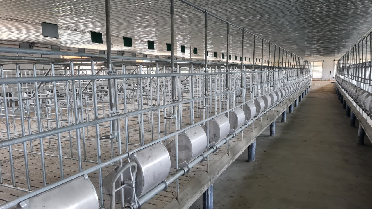 Cách Lựa Chọn Thép Phù Hợp Cho Công Trình: Hướng Dẫn Thực Tiễn