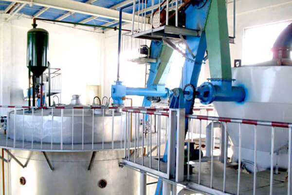 Cám Gạo Trong Chăn Nuôi: Từ Phụ Phẩm Xay Xát Đến Nguyên Liệu Chiến Lược