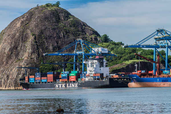 Đậu Nành Nhập Khẩu: Hành Trình Từ Brazil Đến Việt Nam