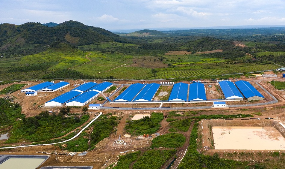Hợp Tác Chiến Lược Với De Heus: Nâng Chuẩn Chăn Nuôi Lên Tầm Quốc Tế