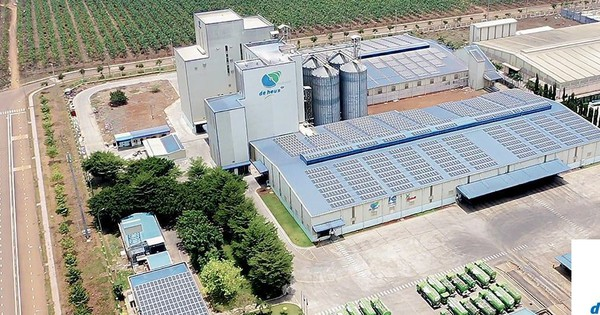 Hợp Tác Chiến Lược Với De Heus: Nâng Chuẩn Chăn Nuôi Lên Tầm Quốc Tế