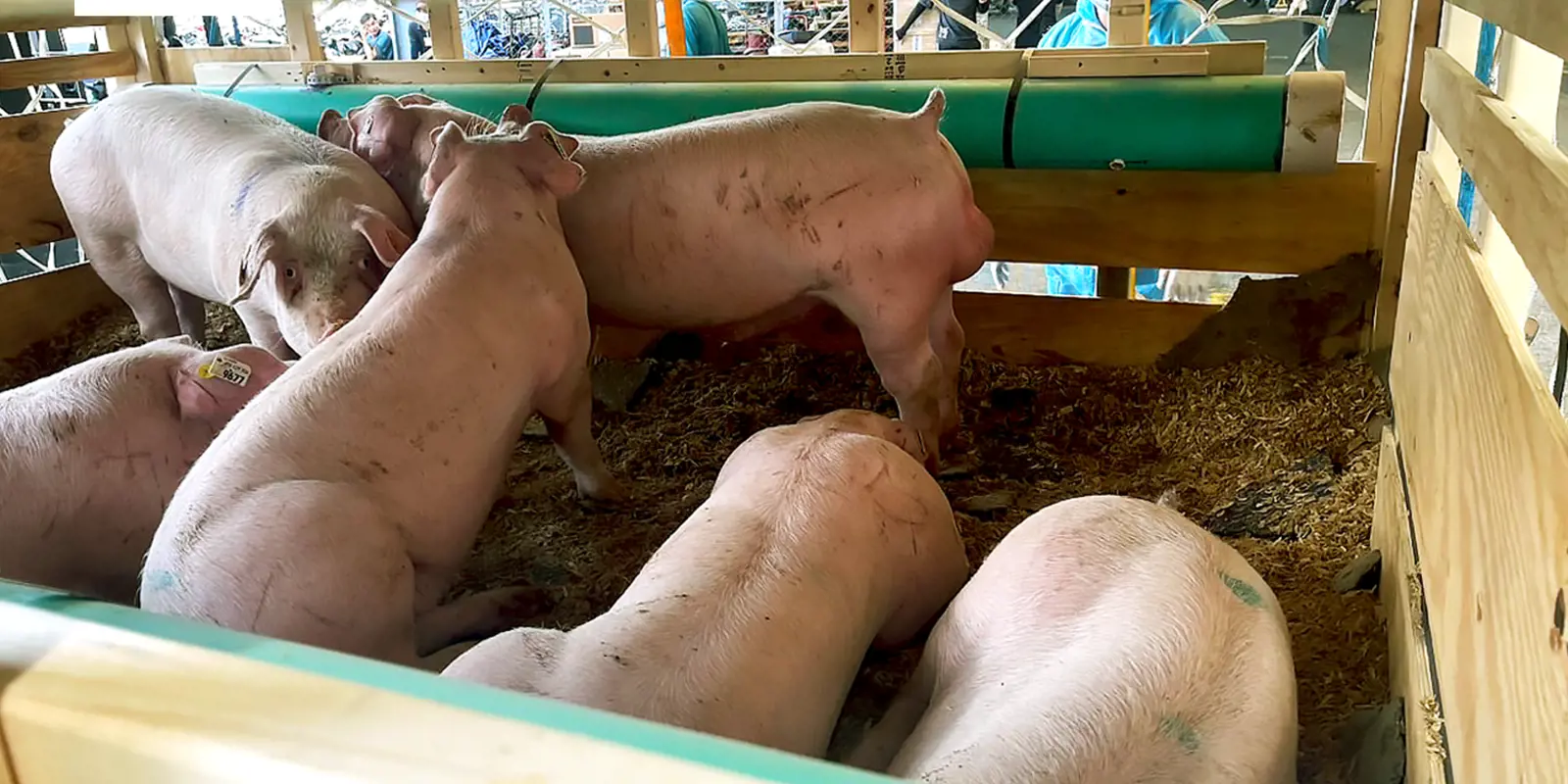 Hợp Tác Chiến Lược Với De Heus: Nâng Chuẩn Chăn Nuôi Lên Tầm Quốc Tế