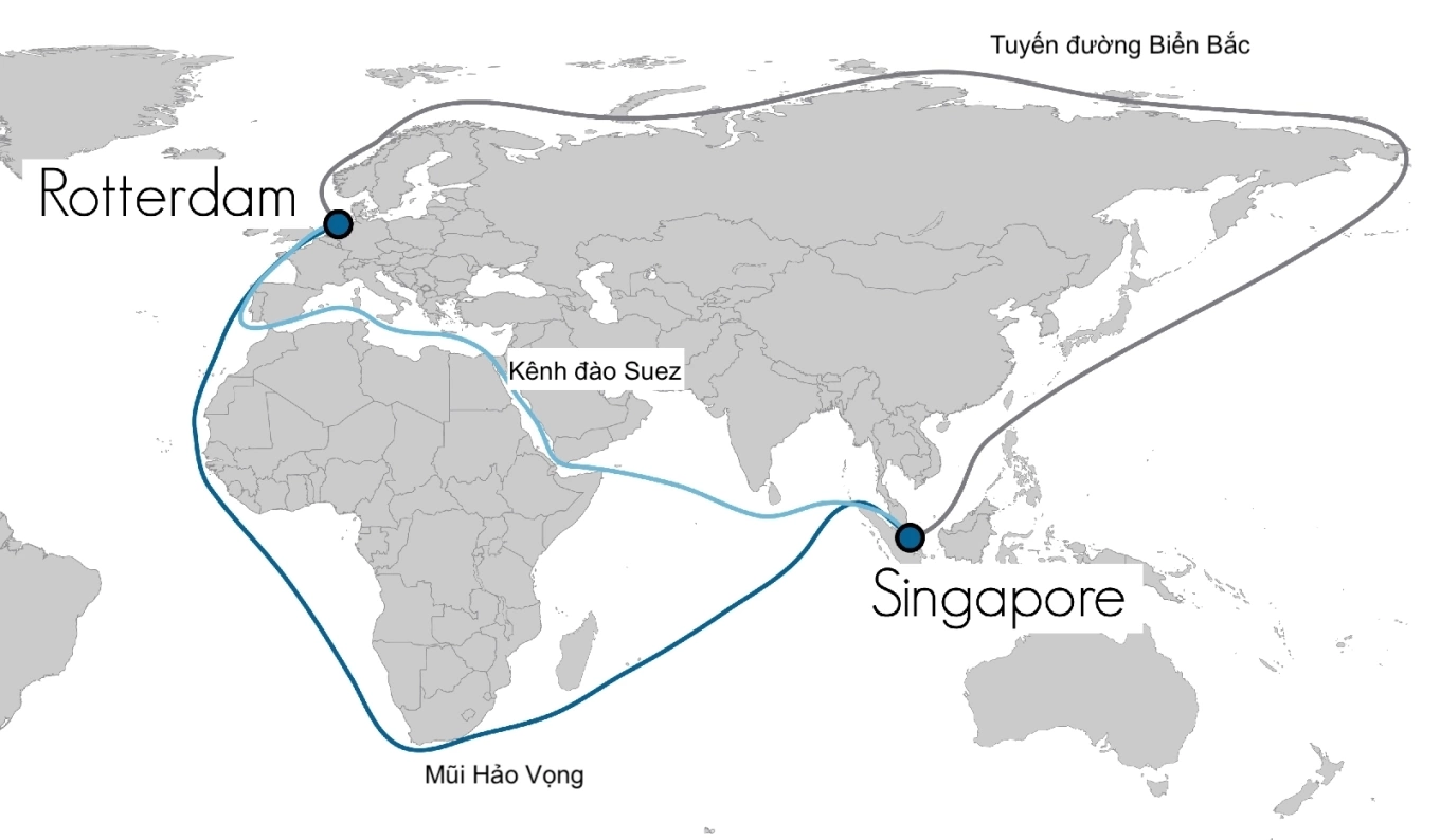 Logistics Trong Thương Mại Hàng Hóa: Nền Tảng Chuỗi Cung Ứng