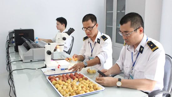 Logistics Trong Thương Mại Hàng Hóa: Nền Tảng Chuỗi Cung Ứng