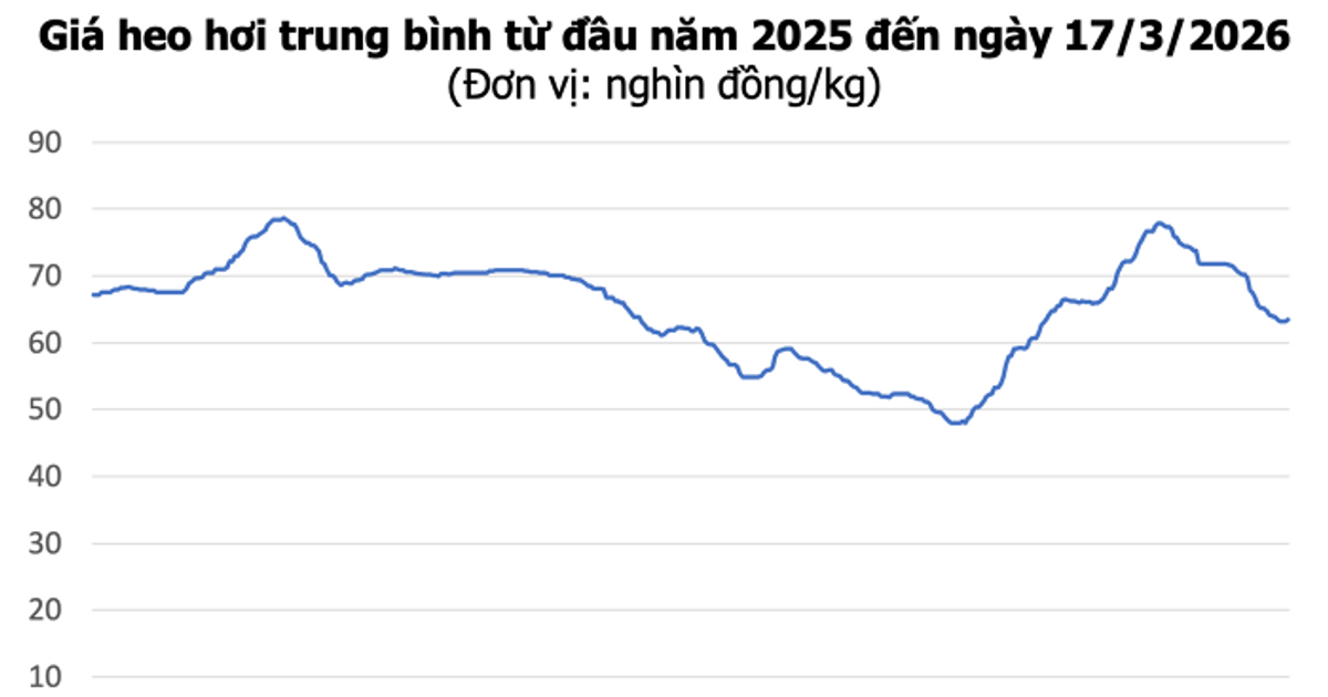 Ngành Chăn Nuôi Lợn Việt Nam 2026: Thách Thức và Cơ Hội