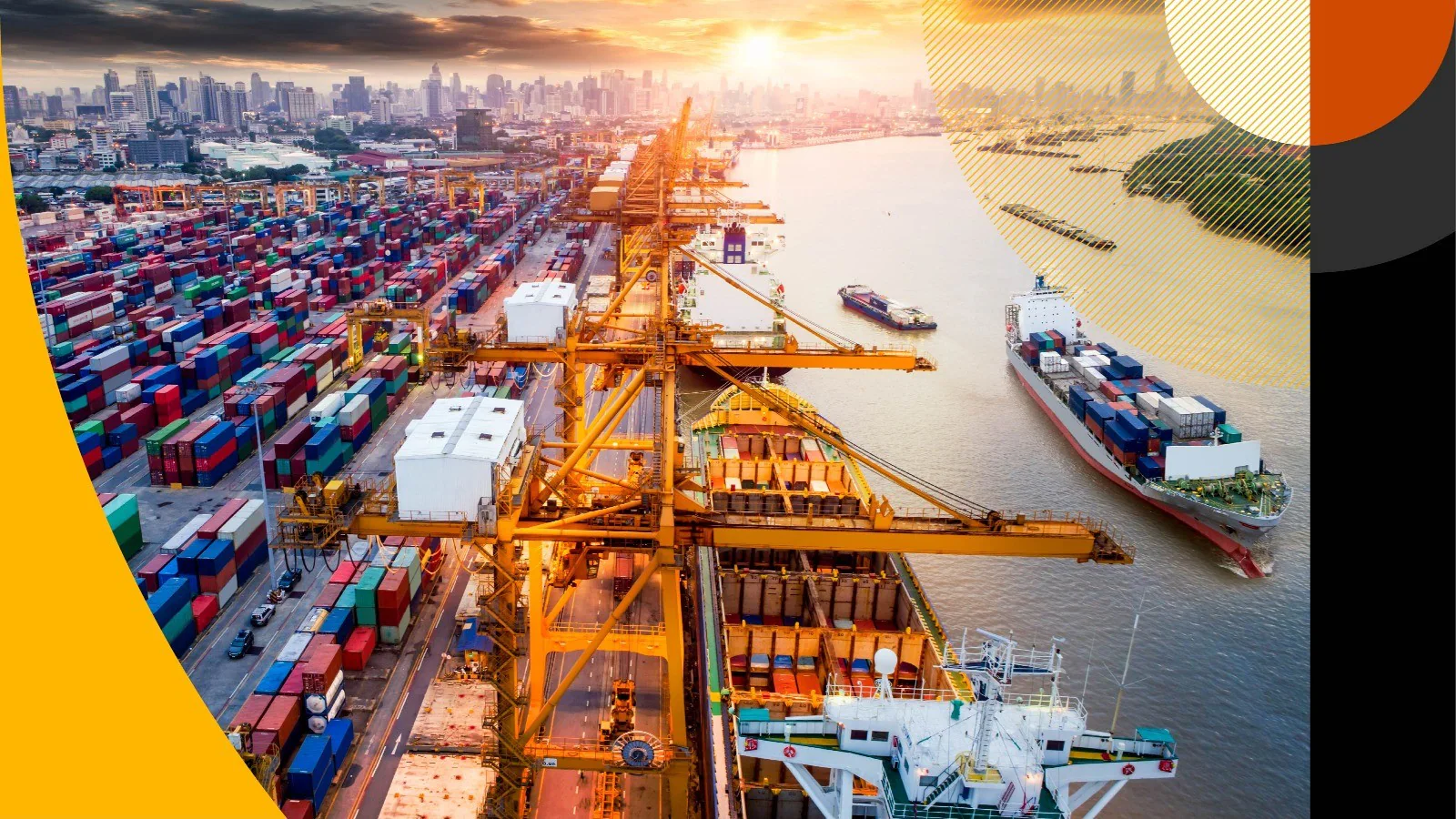 5 lý do các doanh nghiệp sản xuất, chế biến và đầu tư chọn Sunrise Pacific làm đối tác thương mại dài hạn thay vì tự tìm nguồn hàng